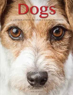 Psy: oslava našich psích priateľov - Dogs: A Celebration of Our Canine Friends