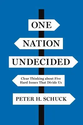 Jeden národ nerozhodnutý: Jasné myslenie o piatich ťažkých otázkach, ktoré nás rozdeľujú - One Nation Undecided: Clear Thinking about Five Hard Issues That Divide Us