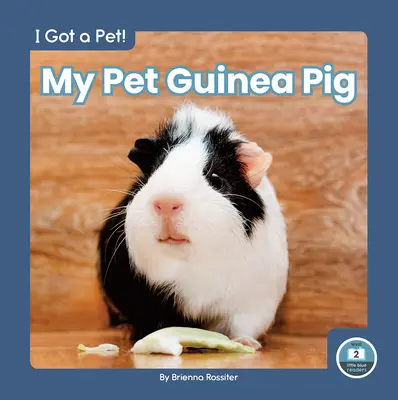 Môj domáci miláčik morča - My Pet Guinea Pig