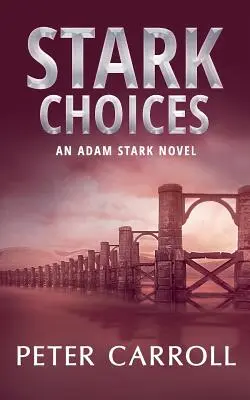 Stark Choices: Adam Stark Novel - Stark Choices: An Adam Stark Novel