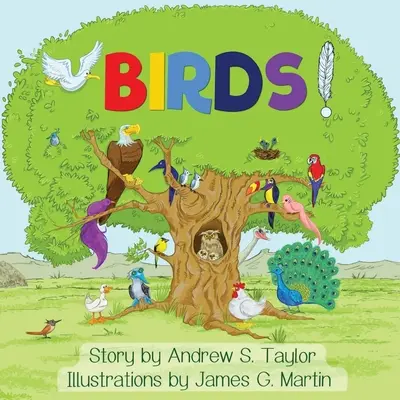 Vtáky! - Birds!