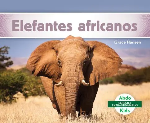 Slony africké (Elefantes Africanos) - Elefantes Africanos (African Elephants)