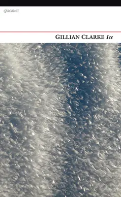Ľad - Ice