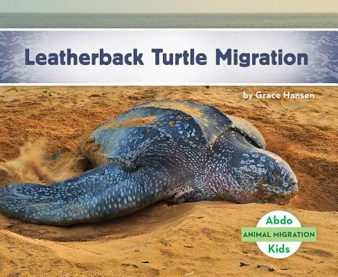 Migrácia korytnačiek kožatých - Leatherback Turtle Migration