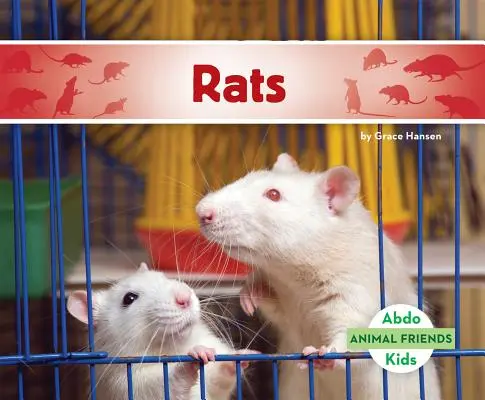 Potkany - Rats