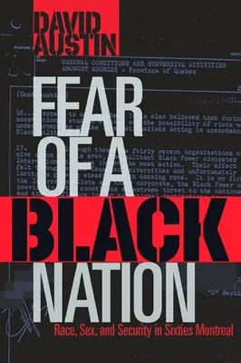 Strach čierneho národa - Fear of a Black Nation