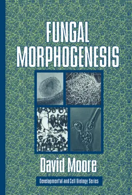 Morfogenéza húb - Fungal Morphogenesis