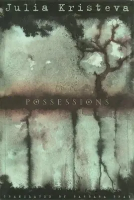 Posadnutosť - Possessions