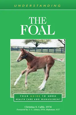 Porozumenie žriebätám: Váš sprievodca starostlivosťou o zdravie koní a ich manažmentom - Understanding the Foal: Your Guide to Horse Health Care and Management