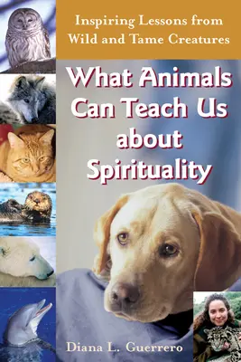 Čo nás môžu zvieratá naučiť o spiritualite: Inšpiratívne lekcie od divokých a krotkých tvorov - What Animals Can Teach Us about Spirituality: Inspiring Lessons from Wild and Tame Creatures