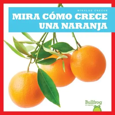 Mira Como Crece Una Naranja (Pozoruj, ako rastie pomaranč) - Mira Como Crece Una Naranja (Watch an Orange Grow)