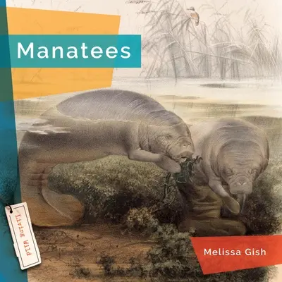 Kapustňáky - Manatees