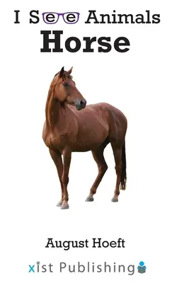 Kôň - Horse