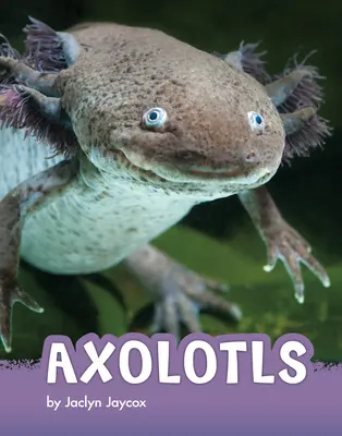 Axolotly - Axolotls