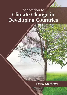 Adaptácia na zmenu klímy v rozvojových krajinách - Adaptation to Climate Change in Developing Countries