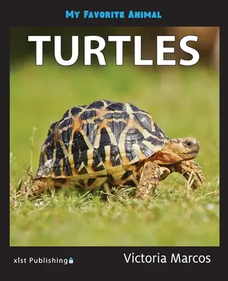 Moje obľúbené zviera: Želvy - My Favorite Animal: Turtles