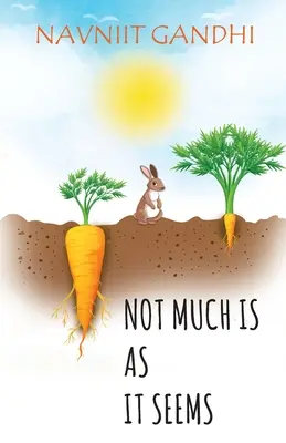 Nie je toho veľa, ako sa zdá - Not Much Is As It Seems