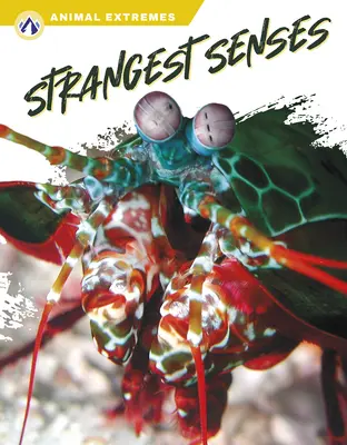 Najzvláštnejšie zmysly - Strangest Senses