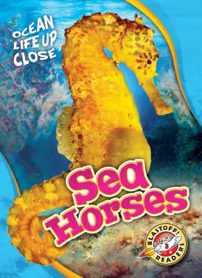 Morské kone - Sea Horses