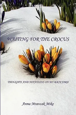 Čakanie na krokus - myšlienky a poznámky o mojom dvore - Waiting for the Crocus - Thoughts and Notations on My Backyard