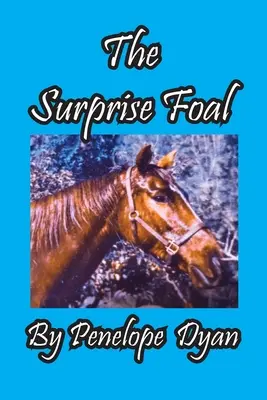 Žriebä s prekvapením - The Surprise Foal