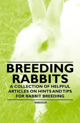 Chov králikov - zbierka užitočných článkov o radách a tipoch pre chov králikov - Breeding Rabbits - A Collection of Helpful Articles on Hints and Tips for Rabbit Breeding