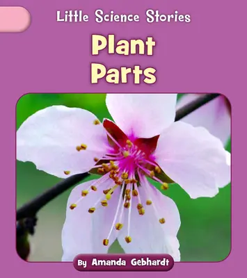 Časti rastlín - Plant Parts