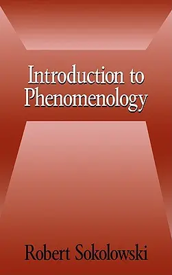 Úvod do fenomenológie - Introduction to Phenomenology