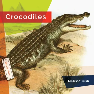 Krokodíly - Crocodiles
