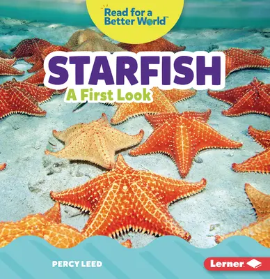 Hviezdičky: Prvý pohľad - Starfish: A First Look