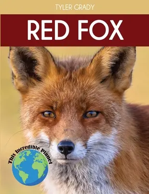 Červená líška: Fascinujúce fakty o zvieratách pre deti - Red Fox: Fascinating Animal Facts for Kids