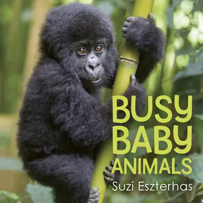 Zaneprázdnené mláďatá zvierat - Busy Baby Animals