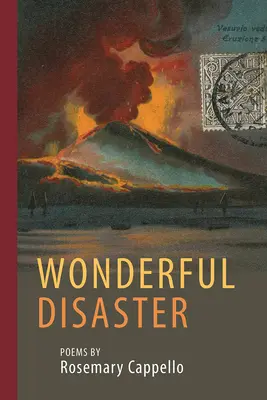 Zázračná katastrofa - Wonderful Disaster
