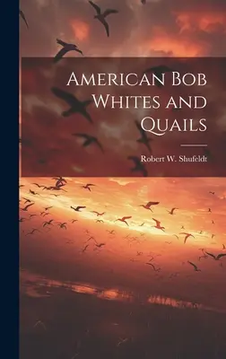 Americký bob biely a prepelice - American bob Whites and Quails