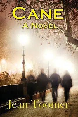 Tŕstie - román - Cane A Novel