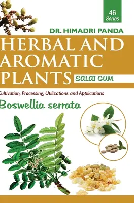 BYLINNÉ A AROMATICKÉ RASTLINY - 46. Boswellia serrata (Salai Gum) - HERBAL AND AROMATIC PLANTS - 46. Boswellia serrata (Salai Gum)