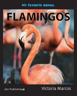 Moje obľúbené zviera: Plameniaky - My Favorite Animal: Flamingos