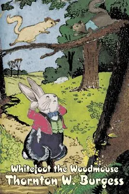 Myšiak Whitefoot by Thornton Burgess, Fiction, Animals, Fantasy & Magic - Whitefoot the Woodmouse by Thornton Burgess, Fiction, Animals, Fantasy & Magic
