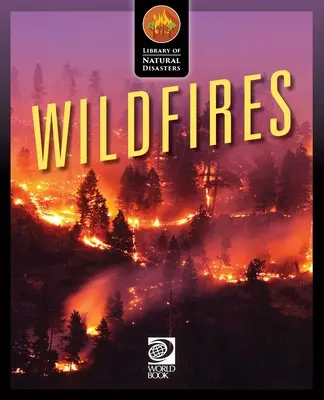 Lesné požiare - Wildfires