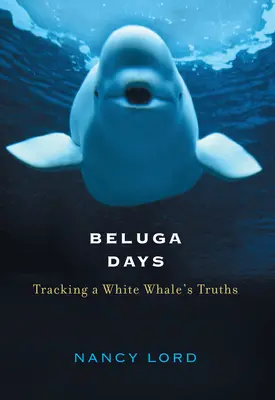 Beluga Days: Na stope pravdy o bielej veľrybe - Beluga Days: Tracking a White Whale's Truths
