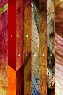 Nežná: Vybrané básne - Tender: Selected Poems
