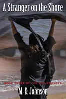 Cudzinec na brehu: Tretia kniha projektu ISIS - A Stranger on the Shore: Book Three of The ISIS Project