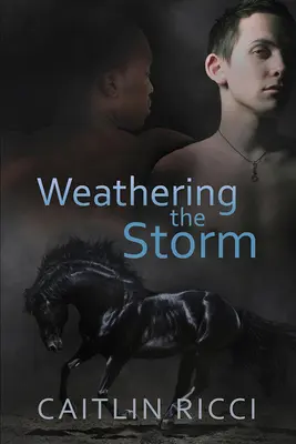 Prežiť búrku: 1. zväzok - Weathering the Storm: Volume 1