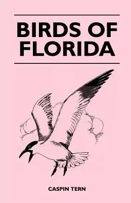 Vtáky Floridy - Birds of Florida