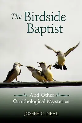 Baptista z vtáčej strany - The Birdside Baptist
