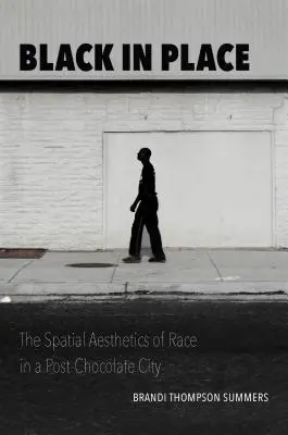 Čierna na mieste: Priestorová estetika rasy v post-čokoládovom meste - Black in Place: The Spatial Aesthetics of Race in a Post-Chocolate City