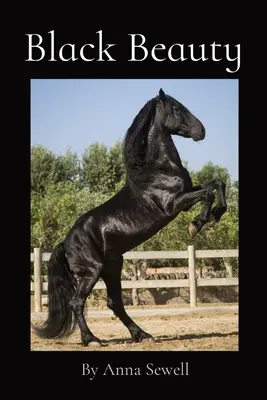 Čierna krása: Anna Sewellová - Black Beauty: By Anna Sewell
