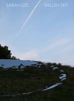 Sarah Sze: Padajúce nebo - Sarah Sze: Fallen Sky