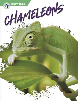 Chameleóny - Chameleons