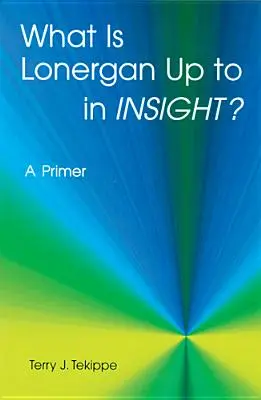 Čo má Lonergan za lubom v Insight? A Primer - What Is Lonergan Up to in Insight?: A Primer